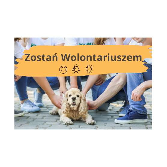 Oferta wolontariatu – Zostań wolontariuszem podczas IX Forum Uczelnianych Pełnomocników