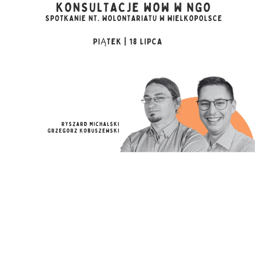 Konsultacje WOW w NGO