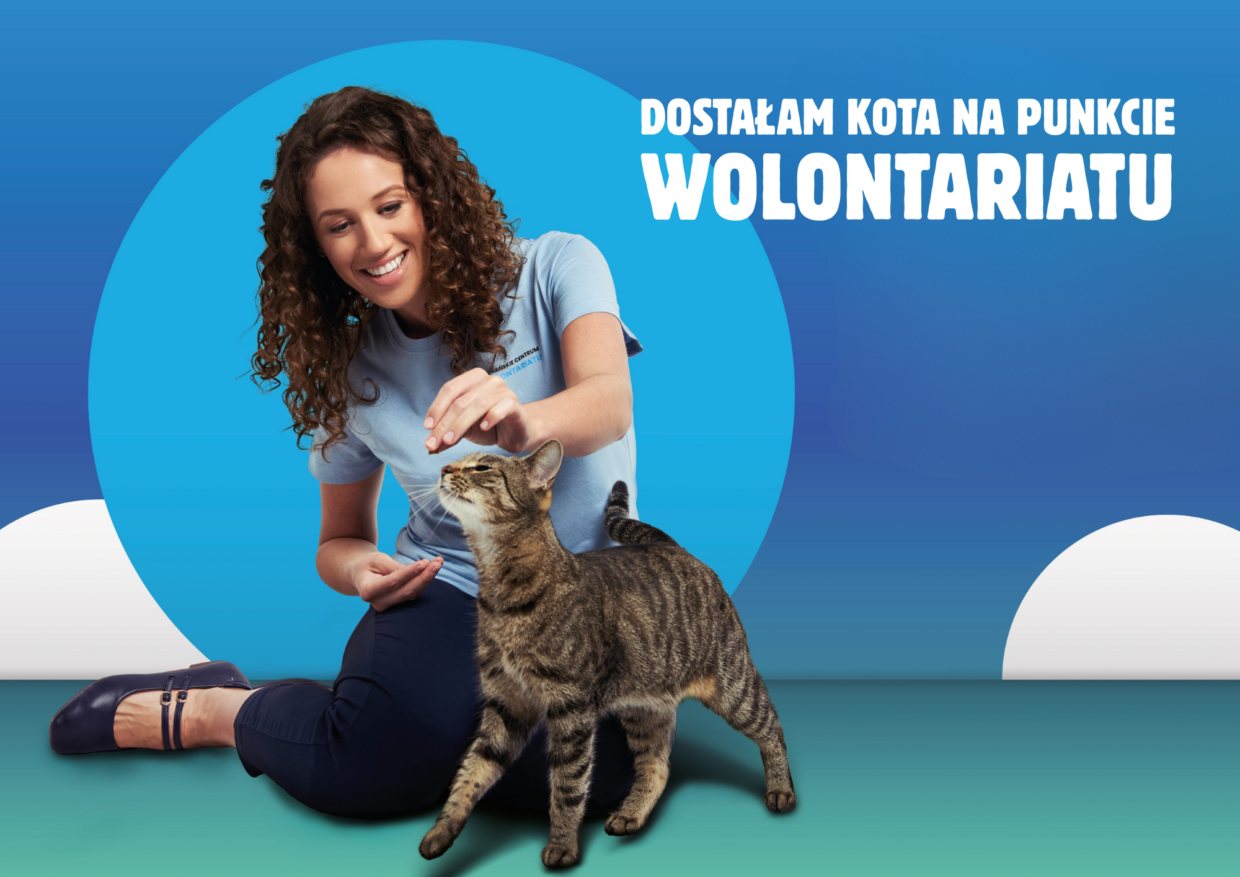 Wolontariuszka z kotem. Dostałam kota na punkcie wolontariatu