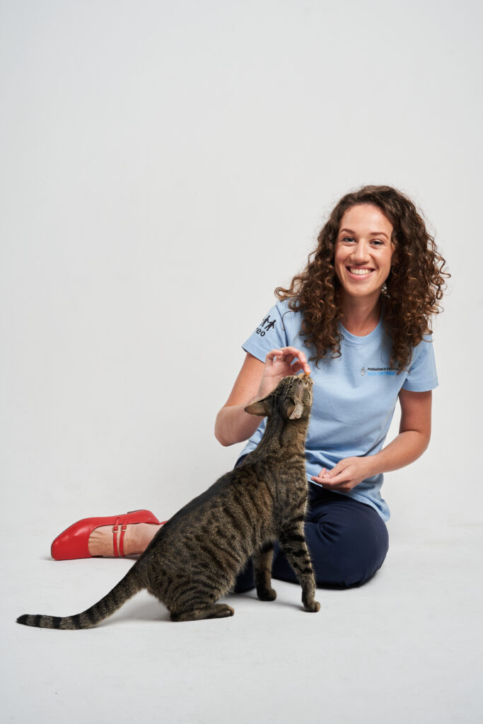 Wolontariuszka w niebieskiej koszulce Poznańskiego Centrum wolontariatu. Bawi się z prążkowanym kociakiem.