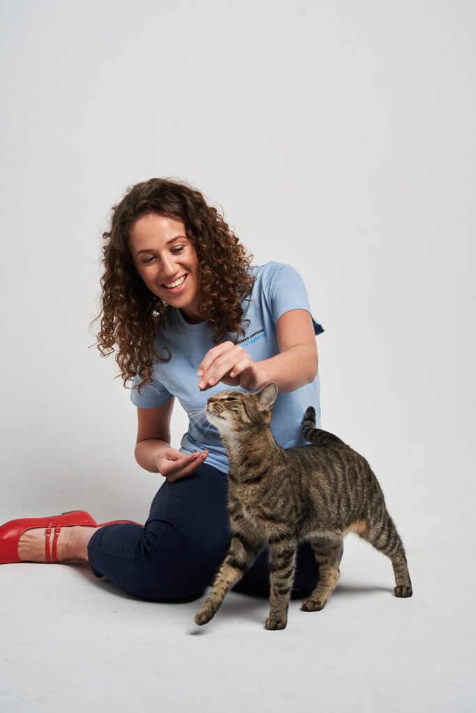 Wolontariuszka w niebieskiej koszulce Poznańskiego Centrum wolontariatu. Bawi się z prążkowanym kociakiem.