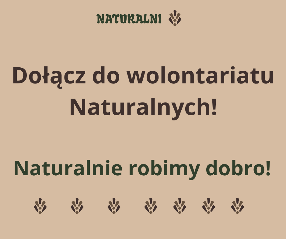 Dołącz do wolontariatu Naturalnych!