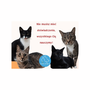 Wolontariat Animal Security