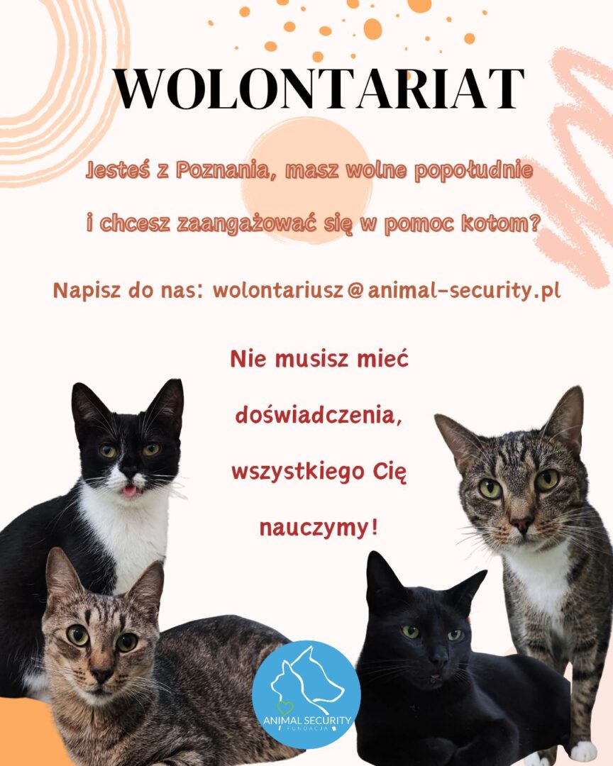 Wolontariat Animal Security