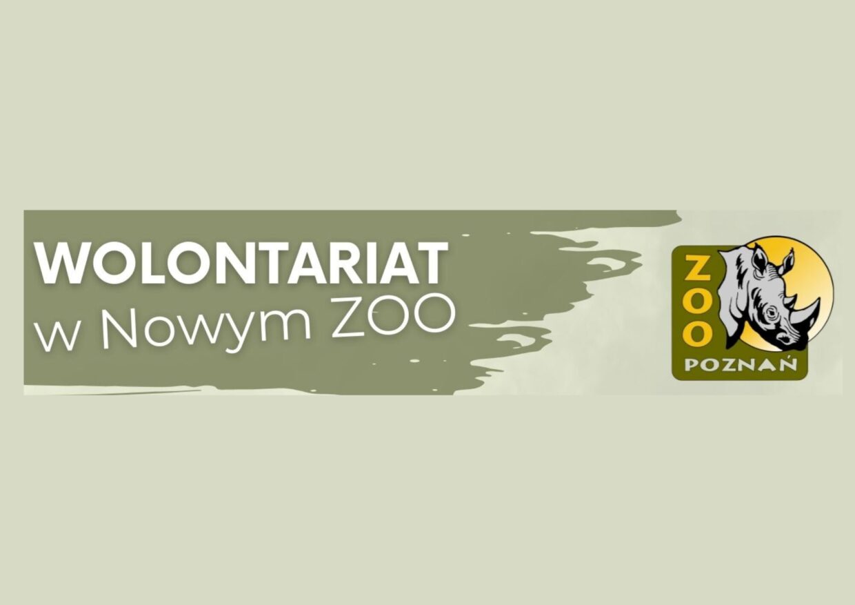 Plakat Wolontariat w Nowym ZOO - Zapraszamy Seniorki i Seniorów!